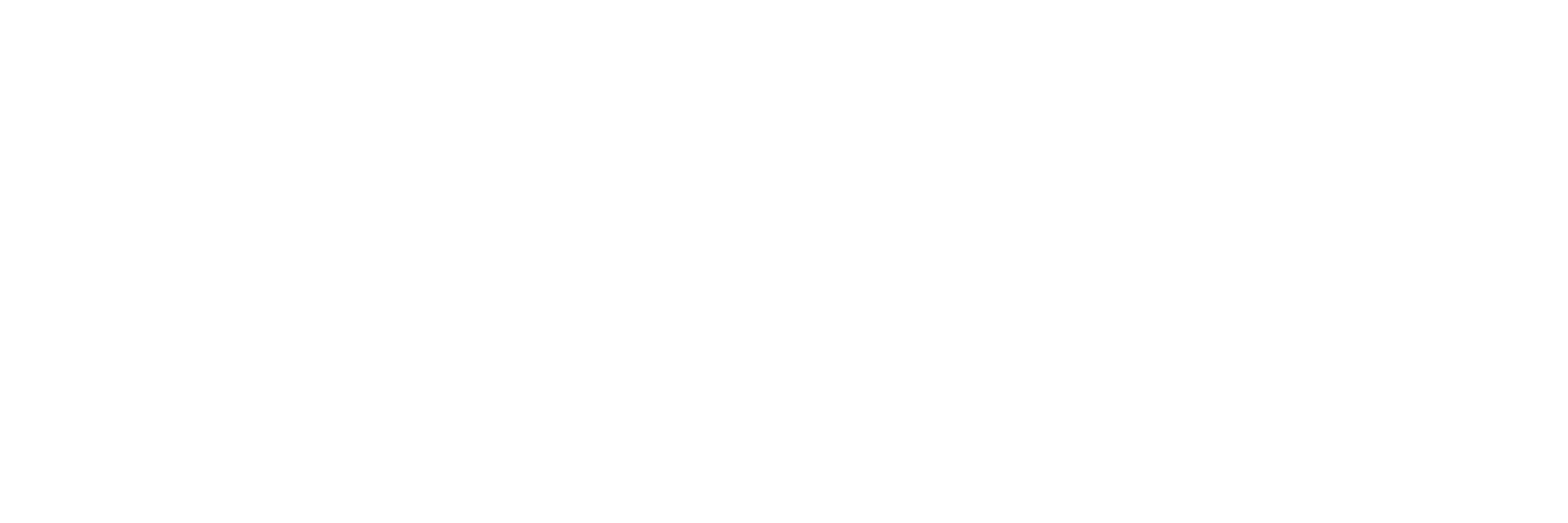 Blayn white logo